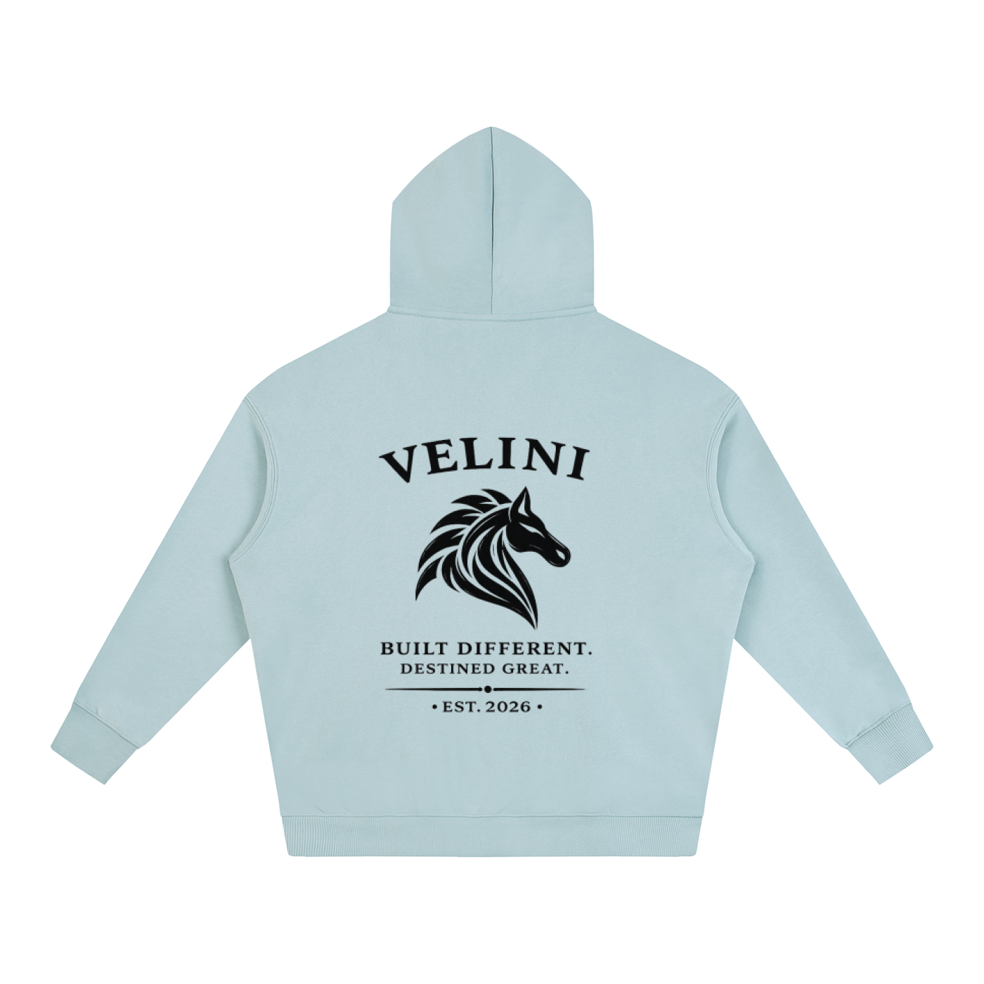 Velini Oversize Fleeced Hoodie - Light Blue