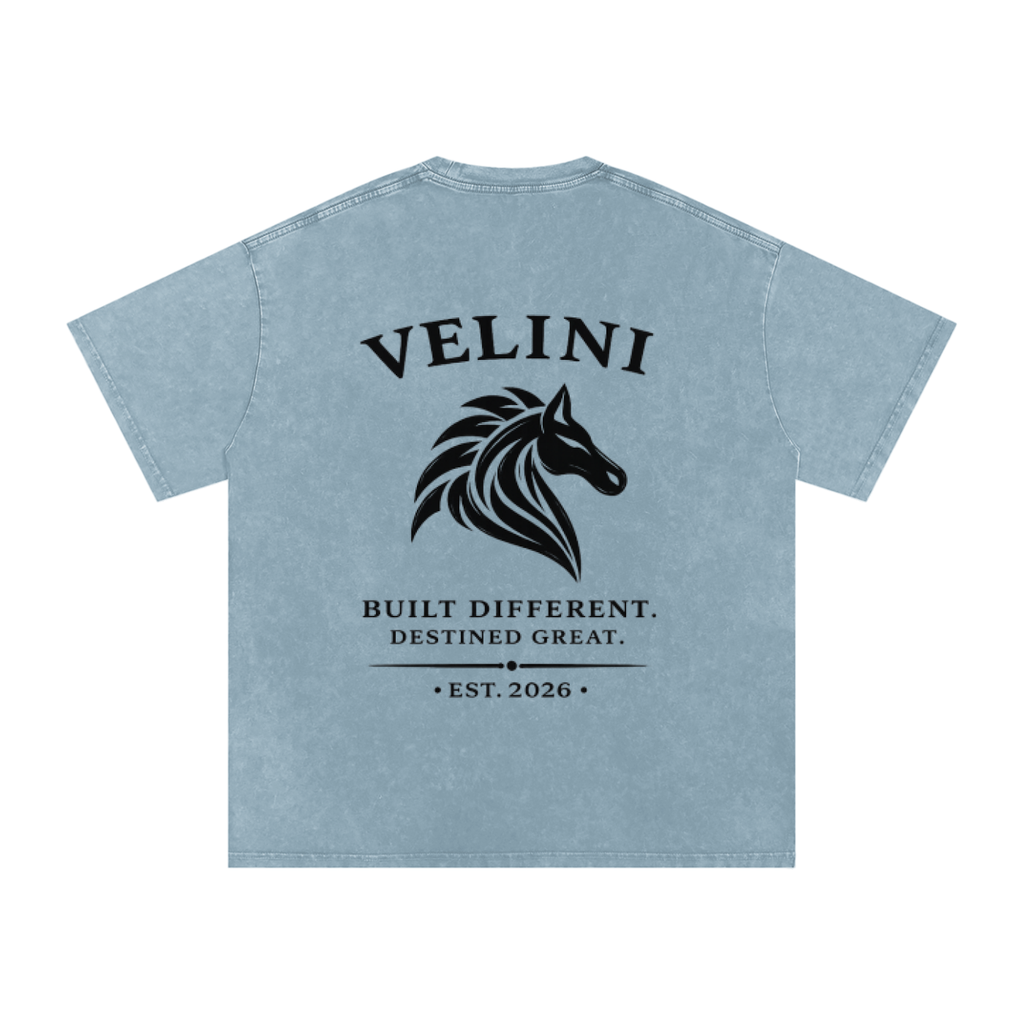 Velini Boxy Washed Oversized Cotton Tee - Light Blue