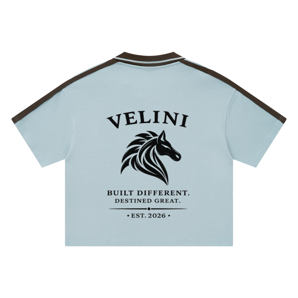 Velini Color Block Polo Shirt - Light Blue